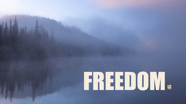 Freedom, Not Control