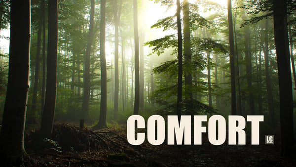 Abundance of Comfort