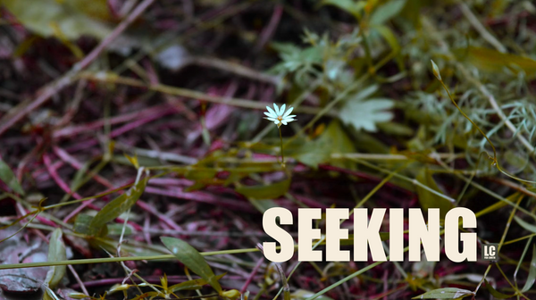 Seek and You Will Find