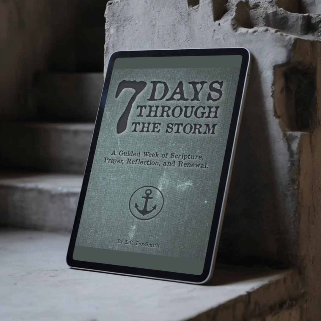 7 Days Through The Storm PDF