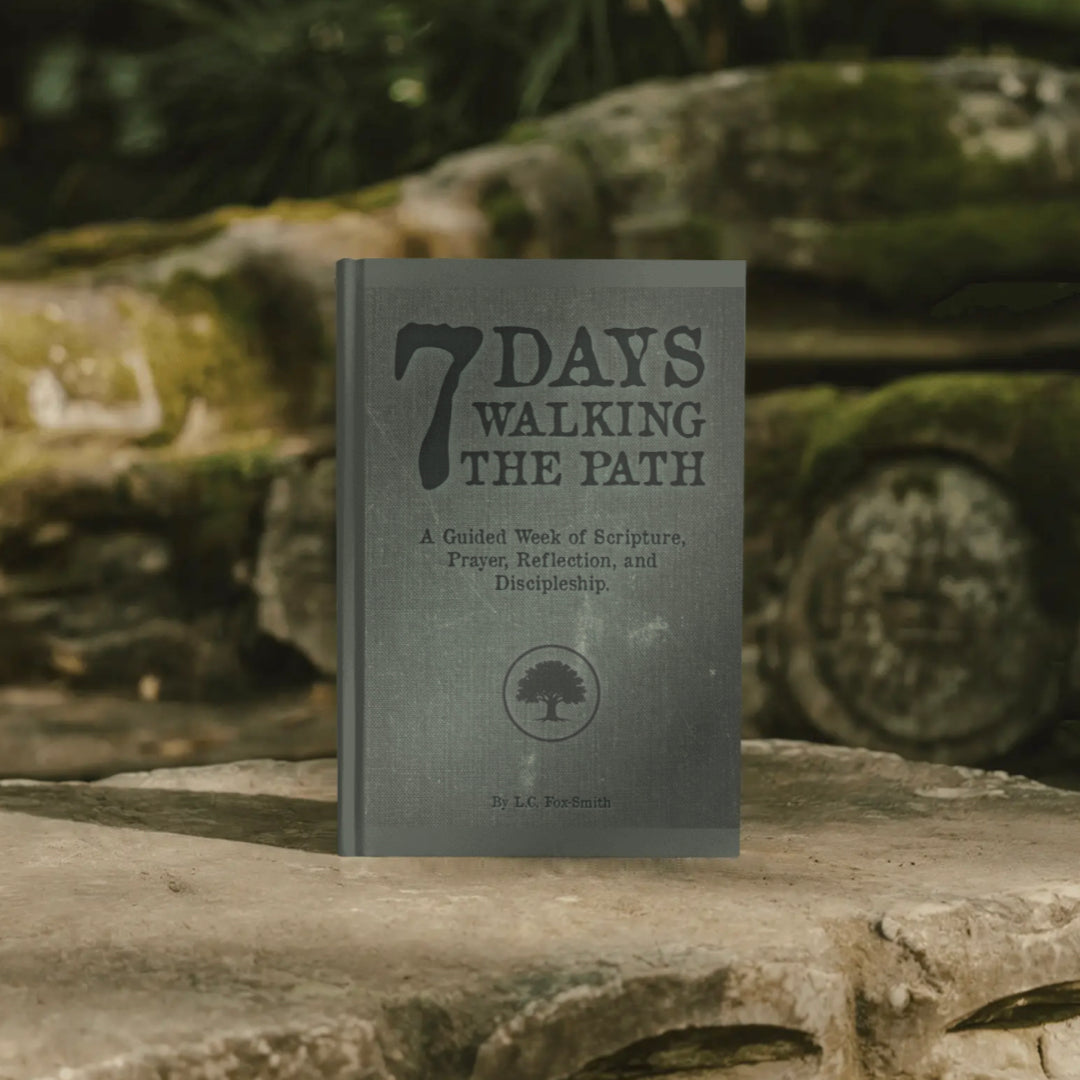 7 Days Walking The Path PDF