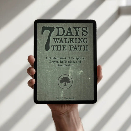 7 Days Walking The Path PDF